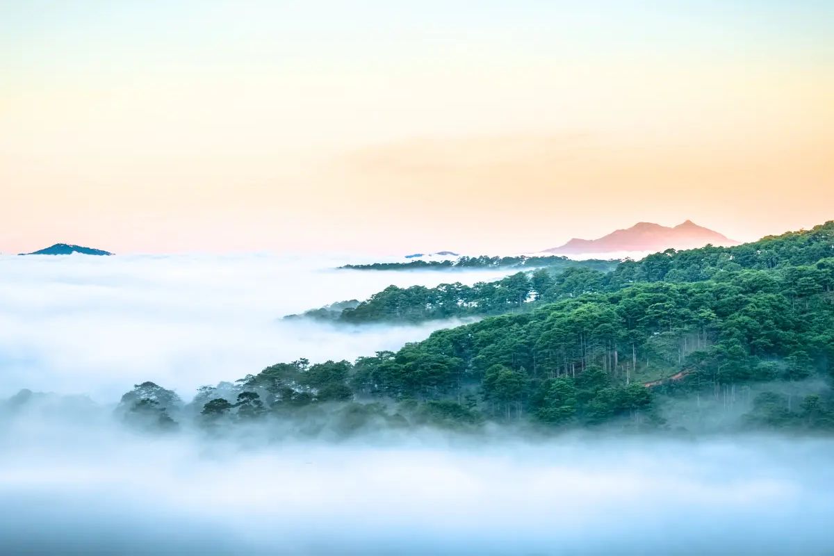 da-lat-in-december-cloud-hunting-sunflowers-festivals